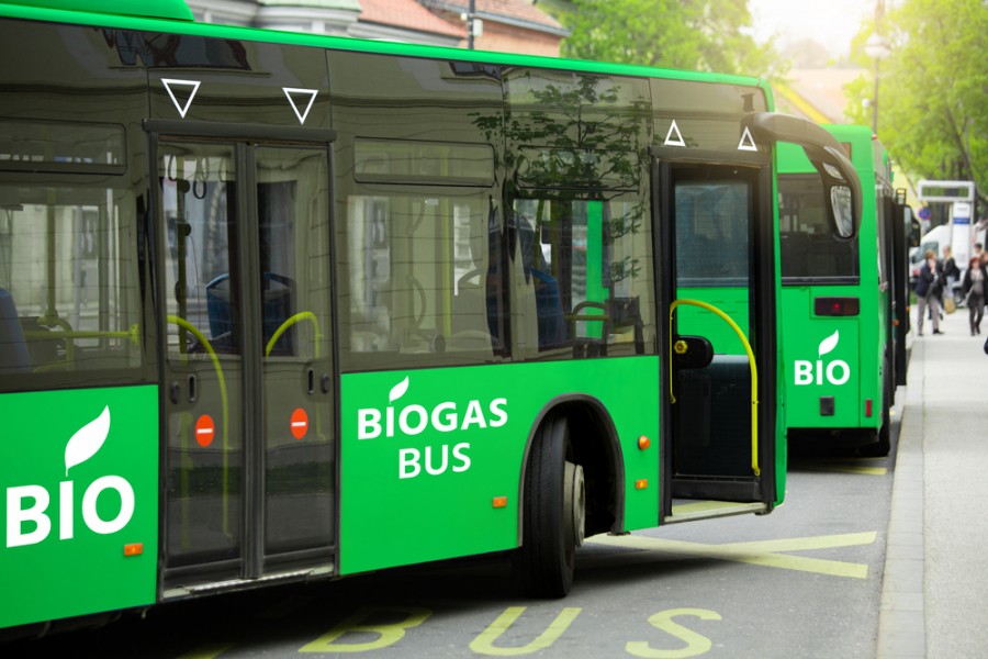 Le bus écologique du futur : à quoi ressemblera-t-il ?