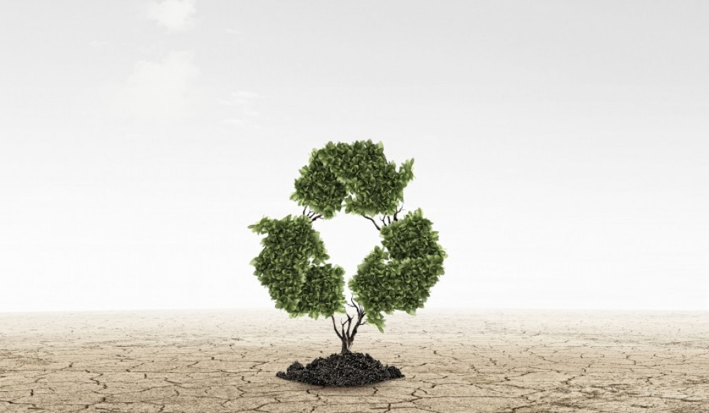 Pourquoi choisir une voiture éco responsable ?